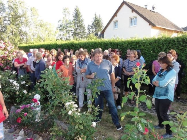 Garten 1