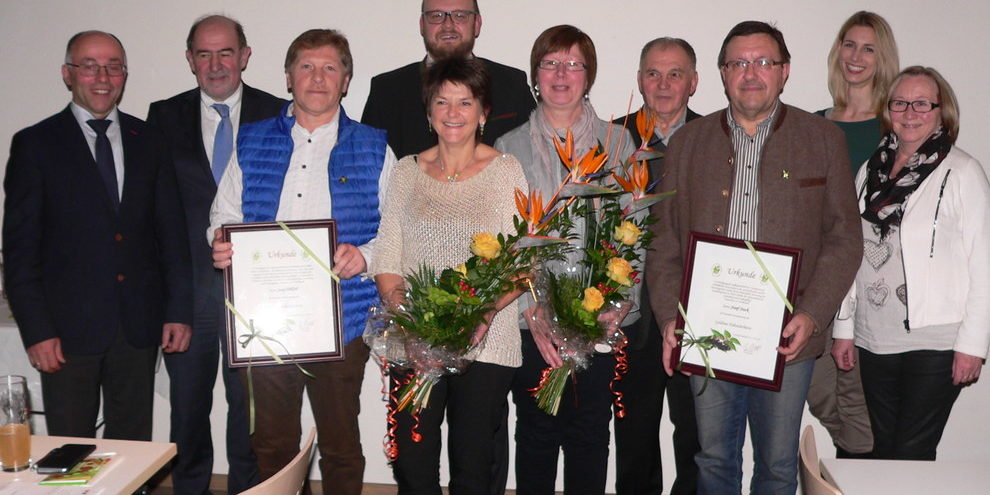 goldene holunderbeere