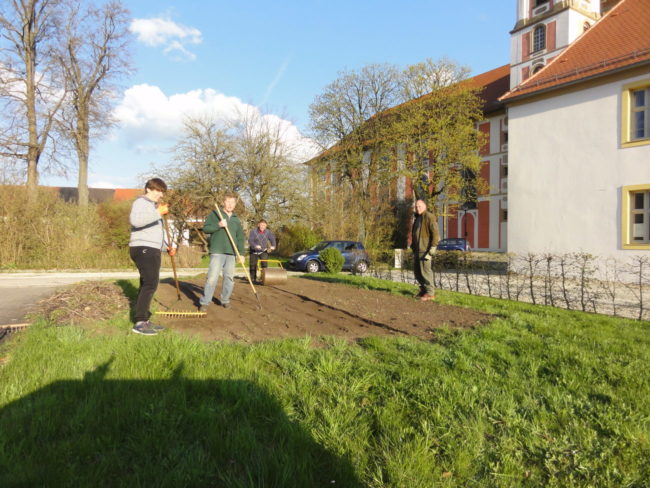 Blühwiese_2021_04