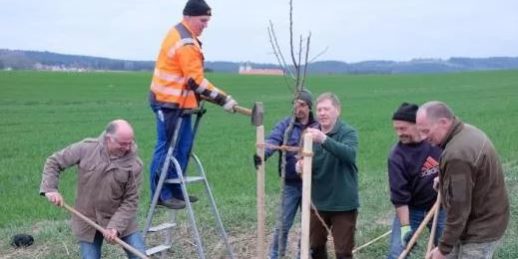 Pflanzaktion_Streuobst